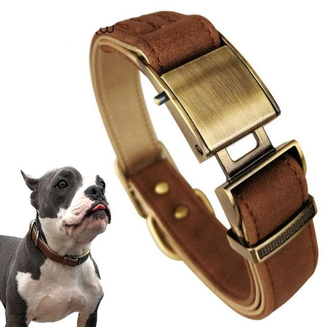 Luxury Genuine Leather Dog Collar