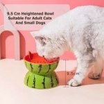 Elevated Ceramic Cat Bowl 3 4B8E9Ade402B10Fe932A998E38Bcc02D.jpg
