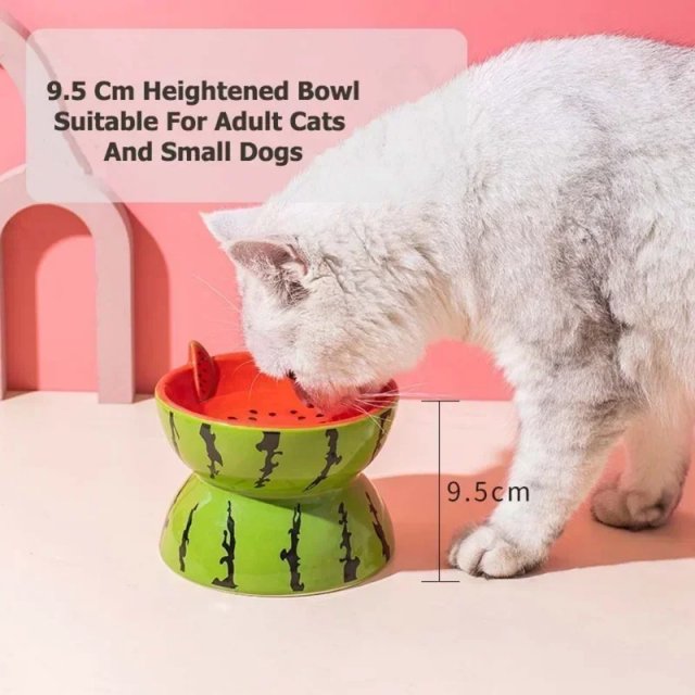 Elevated Ceramic Cat Bowl - Image 3