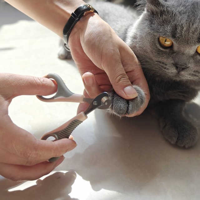 Round Hole Cat Nail Clippers - Image 4