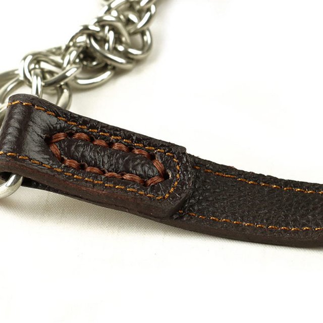 Martingale Leather Dog Collar - Image 5