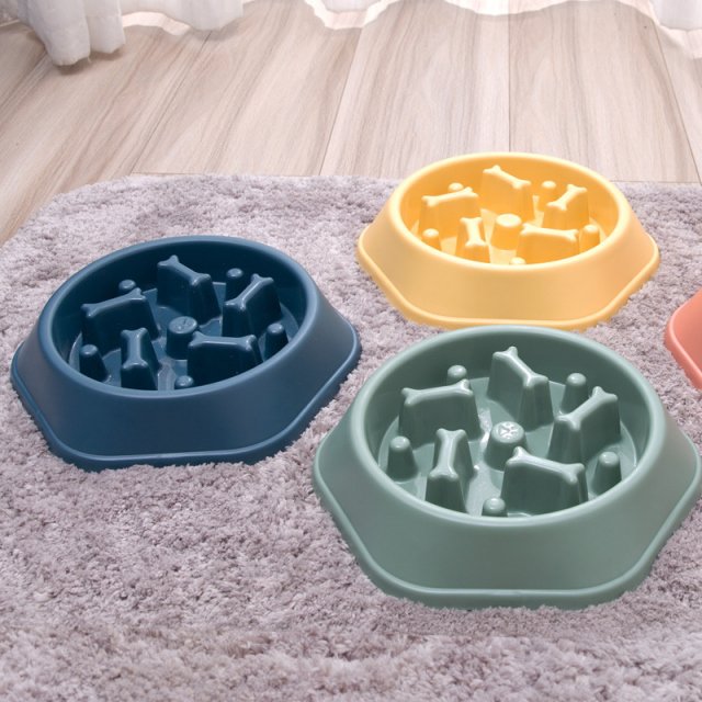 Pet Slow Feeder Bowl for Cats and Dogs - Image 3