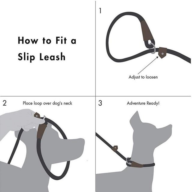 Durable Slip Rope Dog Leash and Collar 2-in-1 Adjustable Loop for All Dogs - Image 5