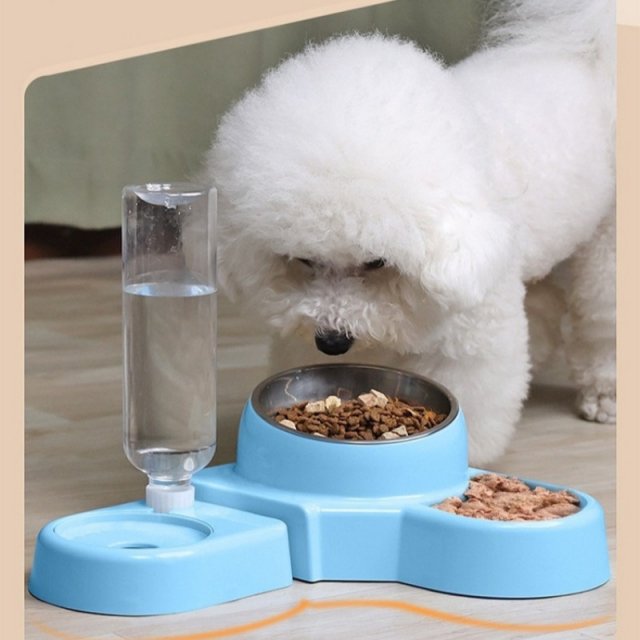 Blue Two-in-One Pet Water and Food Bowl with Automatic Feeder - Image 5