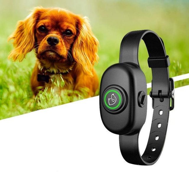 Electric Anti-Bark Dog Training Collar