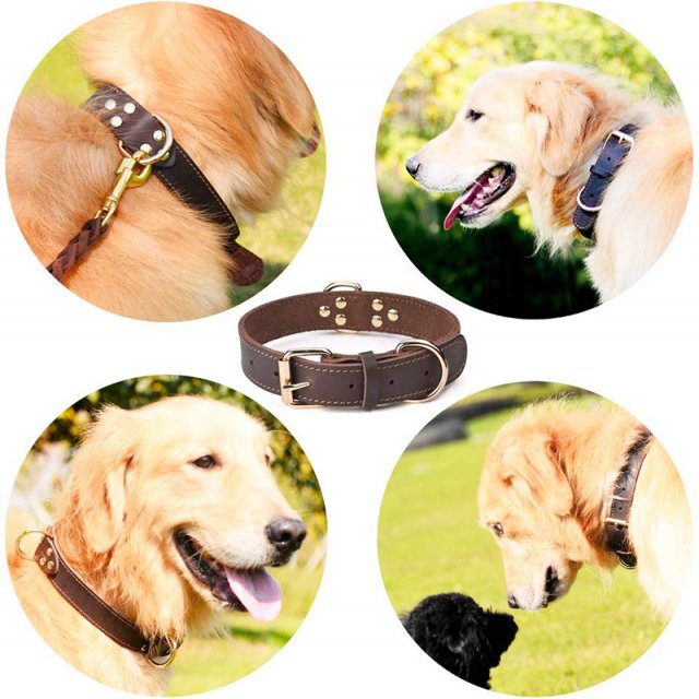 Durable Vintage Leather Dog Collar - Image 3