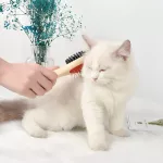 Double-Sided Dog Comb With Wooden Handle 3 73A8792B76F864E6820A0Bbfae72481D.webp