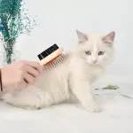 Double-Sided Dog Comb With Wooden Handle 4 759D163A50C290Da58913Fb6A3E37B37.Webp