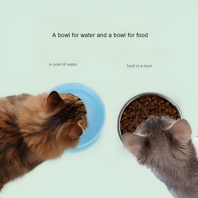 Durable Stainless Steel Pet Feeding Bowl - Image 3