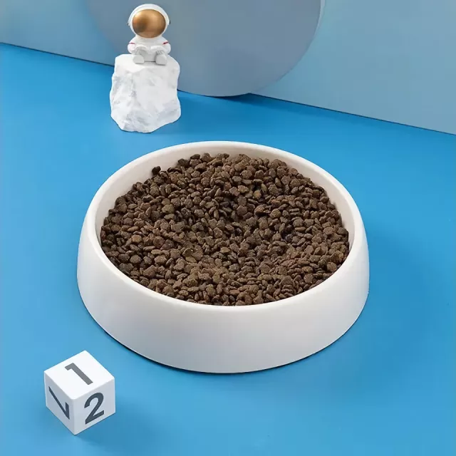 Planet Shaped Non-Slip Pet Bowl - Slow Feeder for Dogs and Cats - Image 4