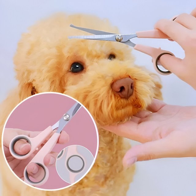 Stainless Steel Dog Grooming Scissors – Pet Hair Trimmer with Hand Protector