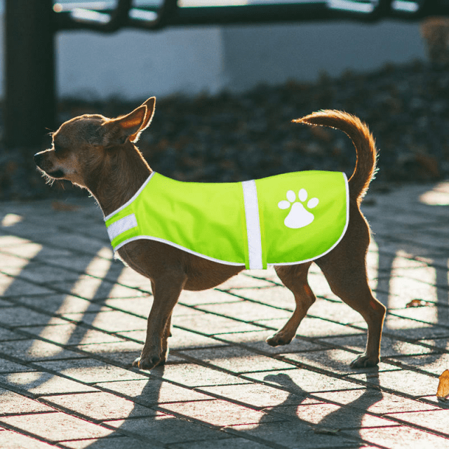 Adjustable Waterproof Reflective Dog Vest