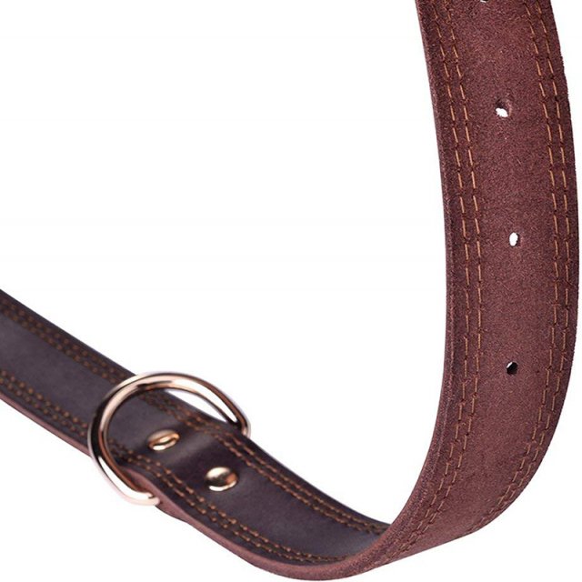 Durable Vintage Leather Dog Collar - Image 5