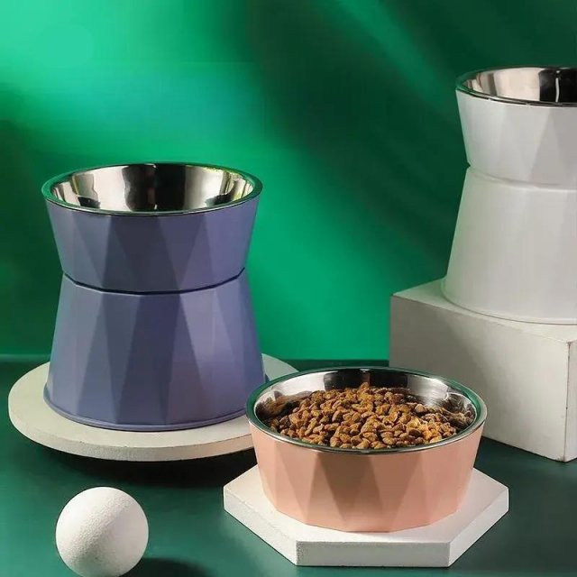 Stainless Steel Elevated Pet Bowl with Anti-Spill Design