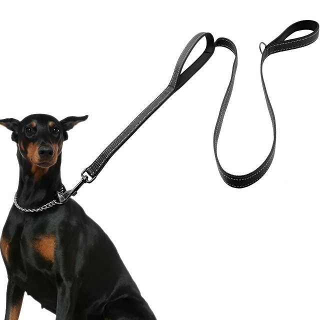 Reflective Padded Dog Leash with Dual Handles for All Breeds