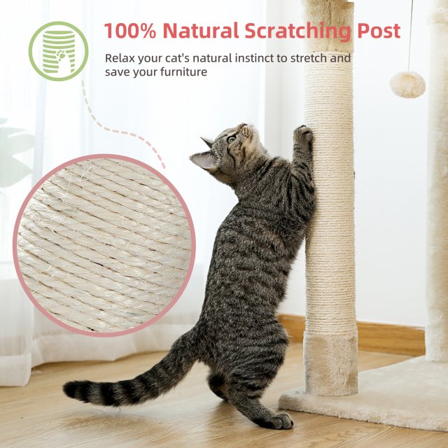 Adjustable Height Multi-Level Cat Tree with Condo & Scratching Post - Image 3