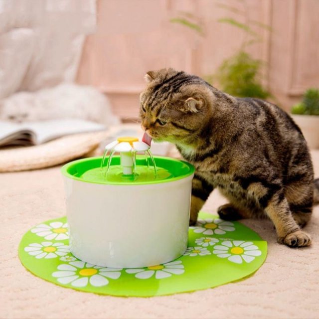 1.6L Automatic Cat & Dog Water Fountain – Quiet, USB Powered Pet Water Dispenser