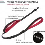 Reflective Padded Dog Leash With Dual Handles For All Breeds 3 E96F9187C0Ed72C42834C2605743A619.Jpg