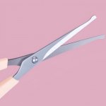 Stainless Steel Dog Grooming Scissors – Pet Hair Trimmer With Hand Protector 4 Ef5E1Ff939F100503E11988A99443B48.Jpg