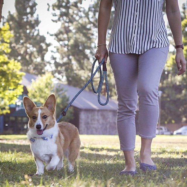 Durable Slip Rope Dog Leash and Collar 2-in-1 Adjustable Loop for All Dogs - Image 4