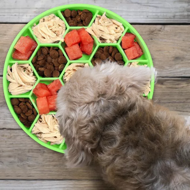 Non-Skid Silicone Slow Feeder Bowl for Dogs - Image 3