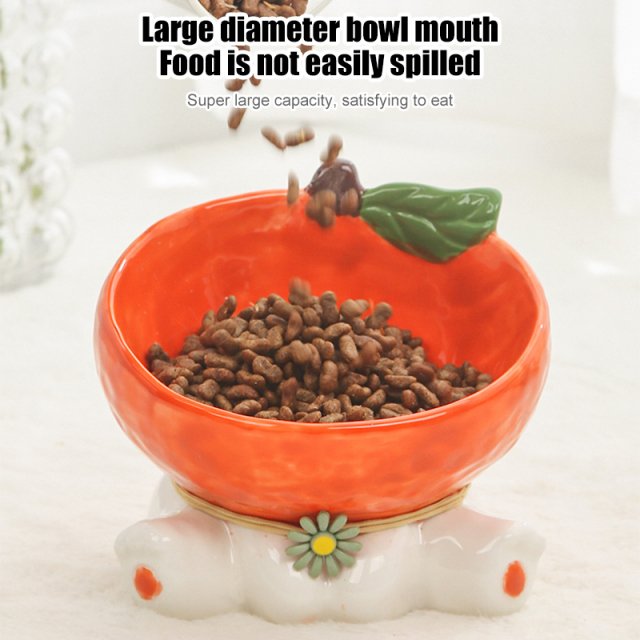 Elevated Ceramic Cat & Small Dog Food and Water Bowl - Image 5