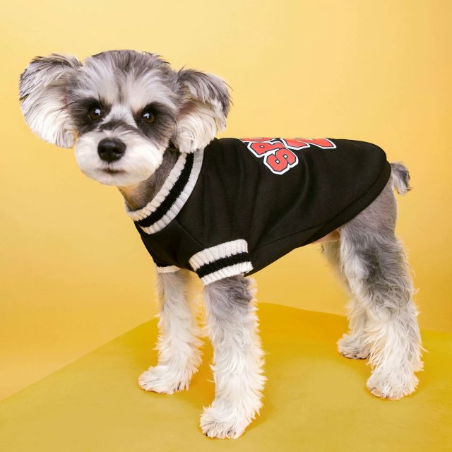 College Style Dog Sweater - Image 5