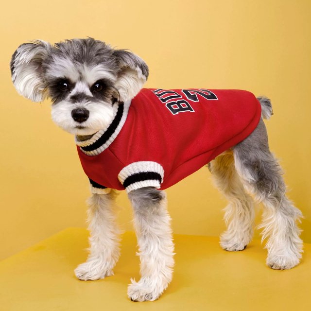 College Style Dog Sweater - Image 3