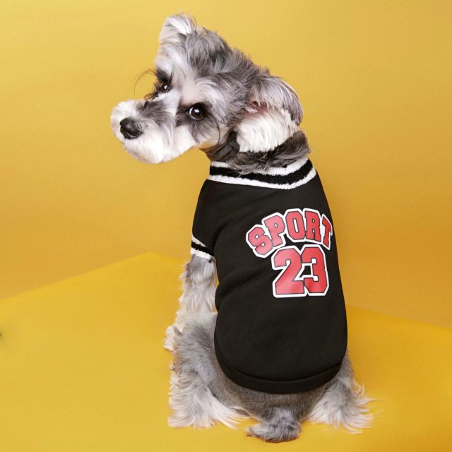 College Style Dog Sweater - Image 4