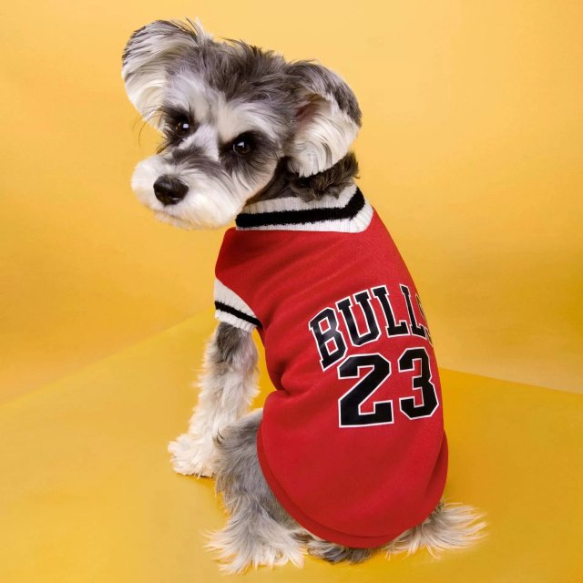 College Style Dog Sweater