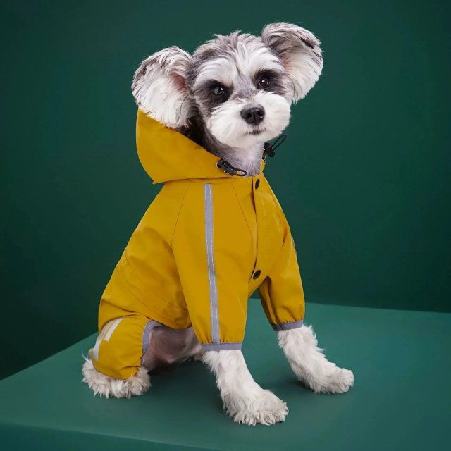 Reflective Waterproof Raincoat for Small & Medium Dogs - Image 3