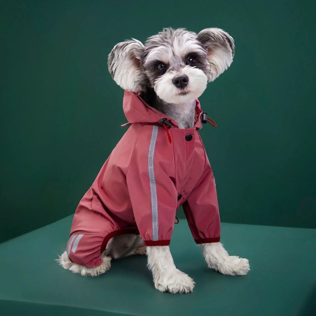 Reflective Waterproof Raincoat for Small & Medium Dogs - Image 5