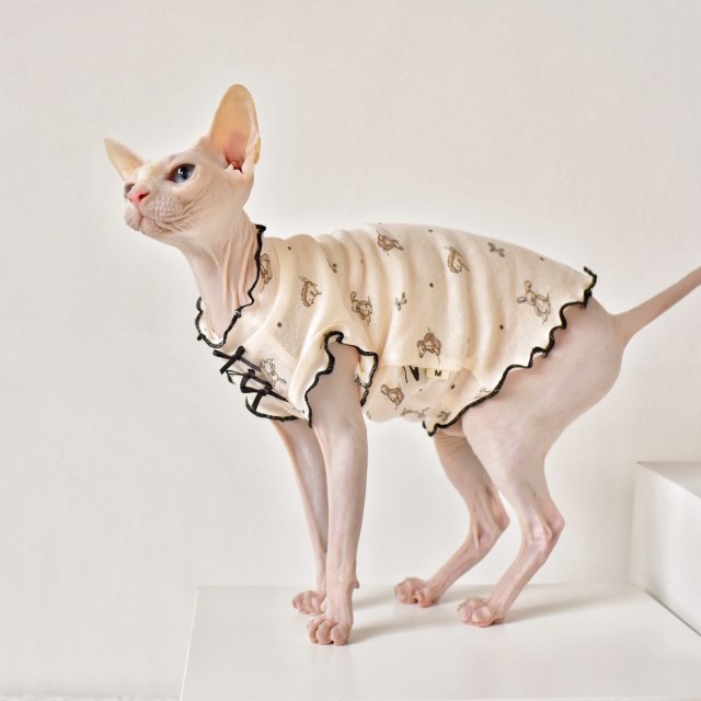 Stylish Sleeveless Vest for Hairless Cats - Image 3