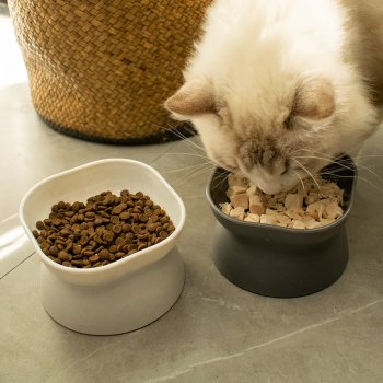 Alternative view of Stress-Free Tilted Cat Food Bowl