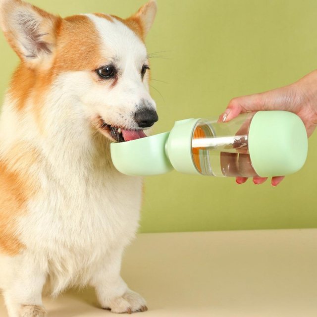 Portable 2-in-1 Dog Water Bottle & Food Container