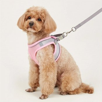Alternative view of Reflective Soft Mesh Dog Harness for Small & Medium Breeds