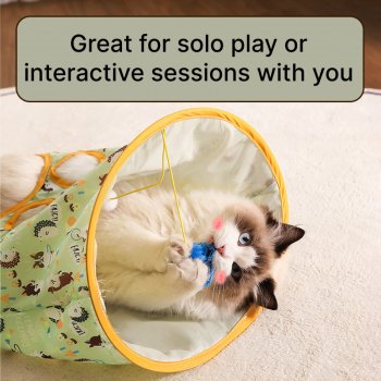 Interactive Cat Tunnel Toy with Teaser Stick & Rattling Paper