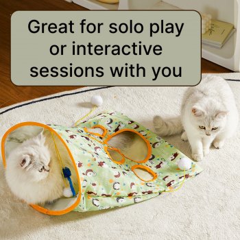 Interactive Cat Tunnel Toy with Teaser Stick & Rattling Paper